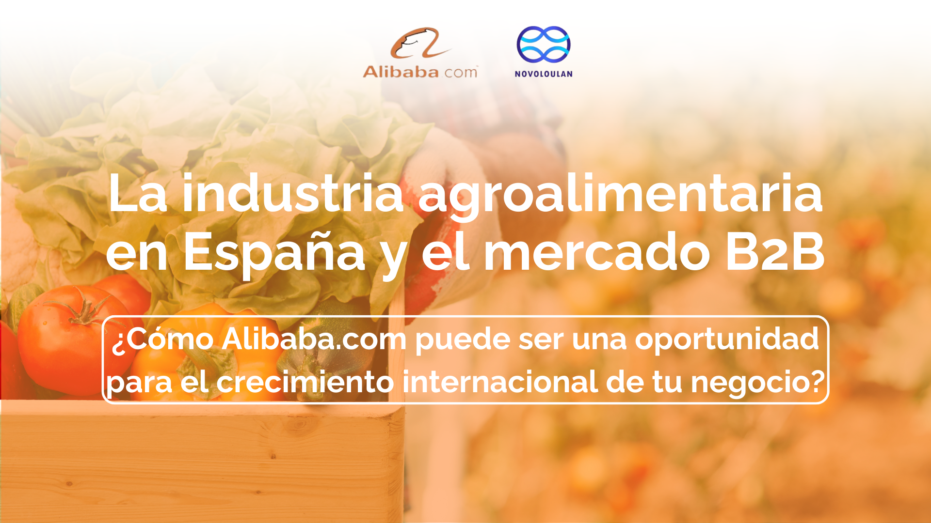 La industria agroalimentaria en España y el mercado B2B: ¿Una oportunidad perdida?